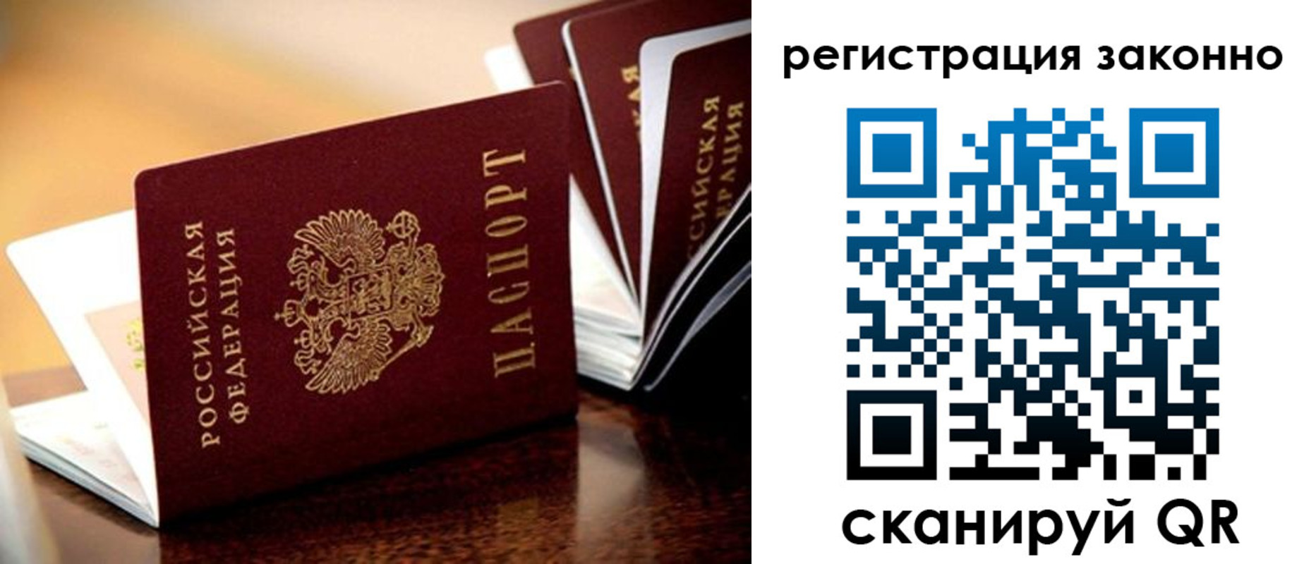 прописка для школы в Ельце